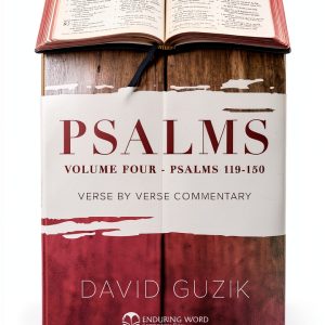 Enduring Word Old Testament Kindle eBook-0