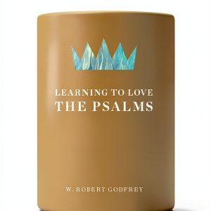 Christian Wisdom Kindle Ligonier Ministries Pages-0