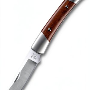 Buck Knives Prince Folding Knife High Carbon-0