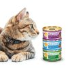 Soulistic Originals Salmon Tuna Dinner in Gravy 5.5oz Can Pack of 8-6