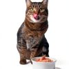 Natural Code Wet Cat Food Tuna Lamb Potato 24 Can 3oz Adult Cat Meal-7
