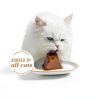 Purina Fancy Feast Gems Pate Mousse Wet Cat Food Ocean Fish 4 oz Pack-1