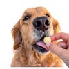 Freeze Dried Quail Egg Yolk for Cats Dogs Ancestral Hunter 3 OZ Topper-1