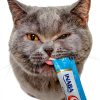INABA Churu Meal Topper for Cats 0.5 Ounce Tube 2 Flavor Variety Pack-6