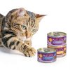 Soulistic Duck Dinner in Gravy 5.5oz Can Pack of 8 by Weruva Topping-6
